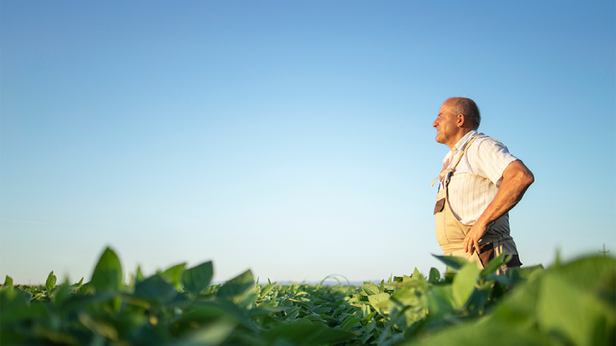 Searching for Answers From the Past