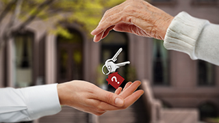 L’essor des séries FNB au Canada