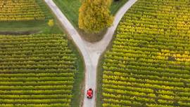 À la croisée des chemins : choisir entre la gestion active et la gestion passive